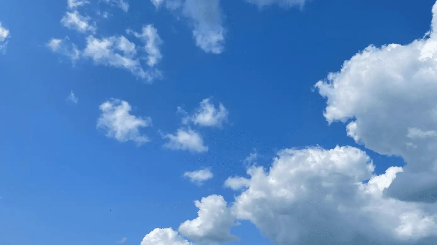 Bluesky Hits Record High in Daily Active Users