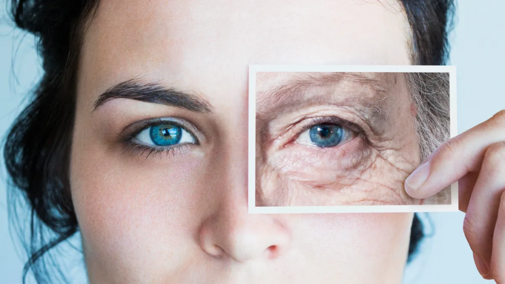 How to Preserve the Health of Your Aging Eyes