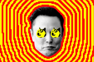 Elon Musk’s DOGE