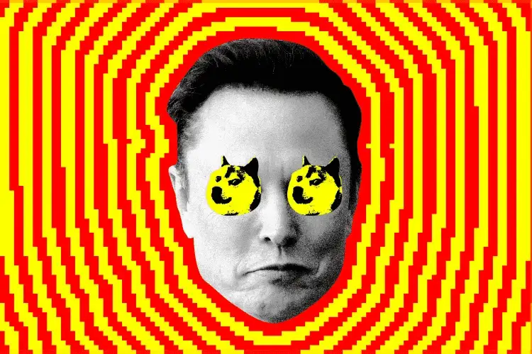 Elon Musk’s DOGE